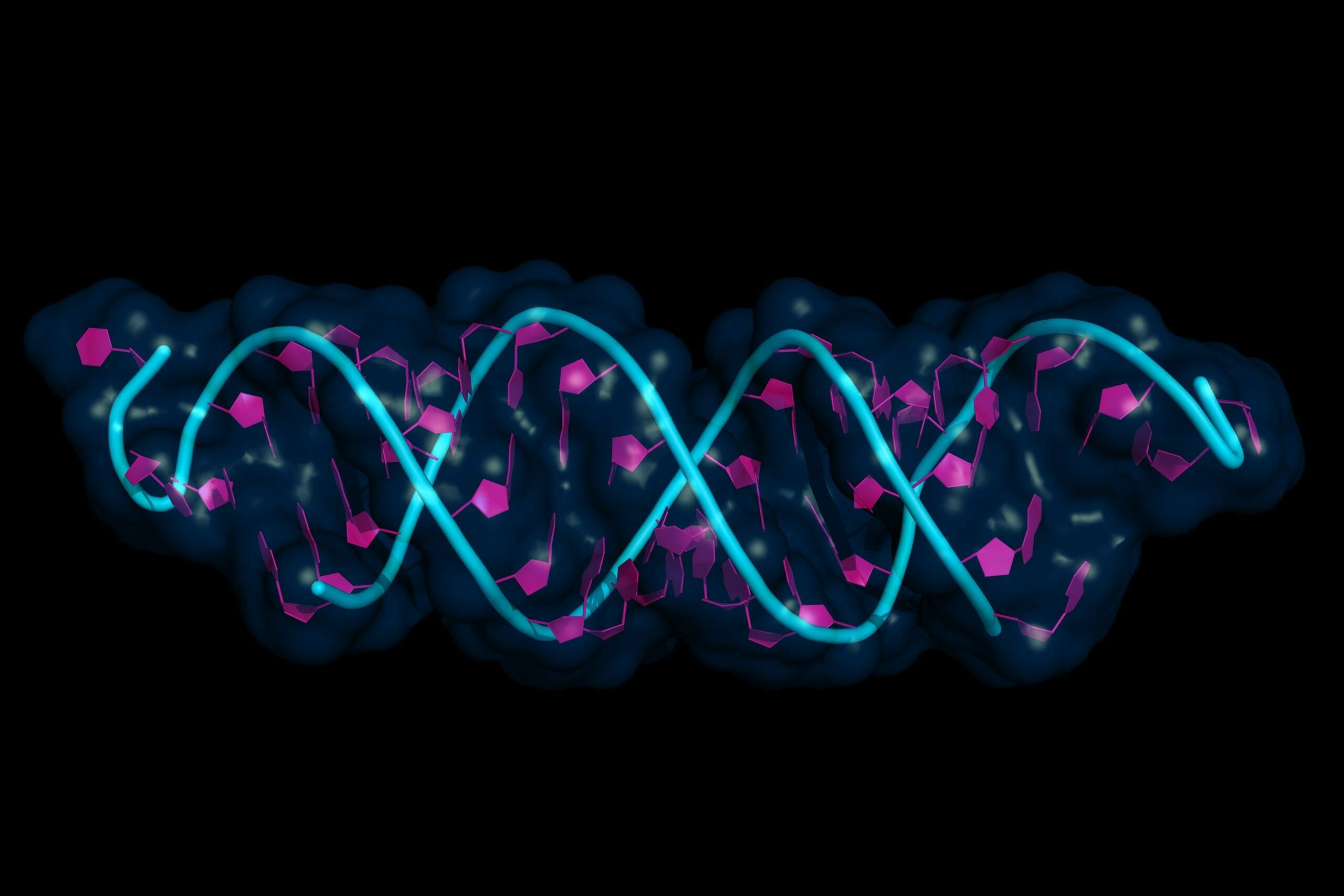 Illustration of a DNA double helix